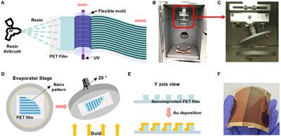 Gold Nanoparticle-Enhanced and Roll-to-Roll Nanoimprinted LSPR Platform for Detecting Interleukin-10